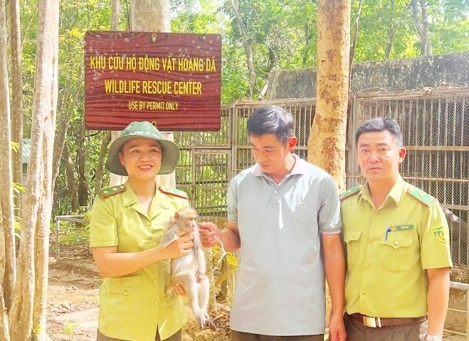Người dân tự nguyện giao nộp khỉ đuôi dài quý hiếm