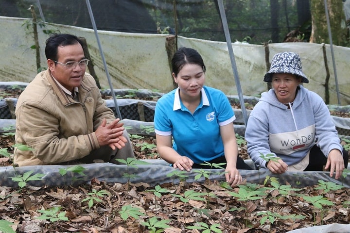 Vốn tín dụng chính sách, "chìa khóa" giúp dân thoát nghèo