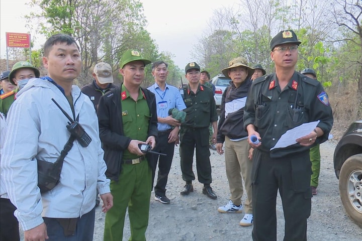 Đắk Lắk: Thu hồi 742 ha đất lâm nghiệp bị lấn chiếm