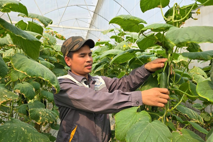 Thoát nghèo, tái hoà nhập cộng đồng nhờ nguồn vốn Ngân hàng Chính sách xã hội