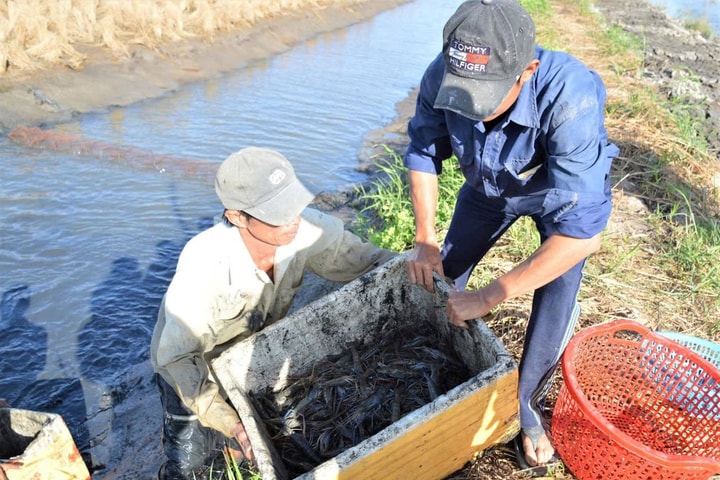 Ngành thủy sản Cà Mau chủ động ứng phó tác động việc Mỹ áp mức thuế 46%