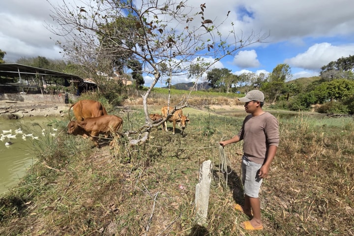 Vốn tín dụng chính sách - 'đòn bẩy' giúp dân Kon Rẫy thoát nghèo