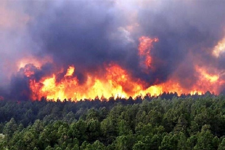 Quảng Ngãi: Tăng cường công tác phòng cháy, chữa cháy rừng