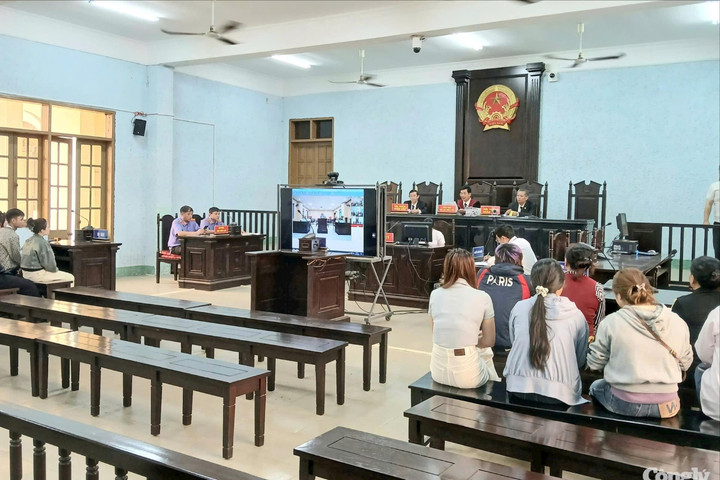 Lừa bán 8 người sang khu vực Tam Giác Vàng