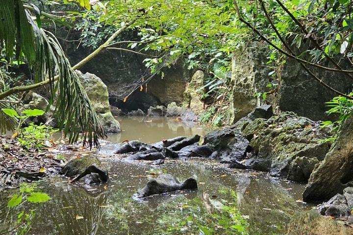 Xử phạt trang trại nuôi lợn gây ô nhiễm nước suối Lèn Cò Noóng