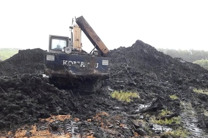 Cho thuê hơn 28.000m² đất để khai thác than bùn tại Huế