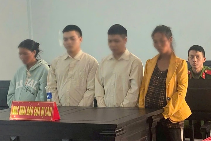 Hai anh em ruột giết người trong rừng lĩnh án