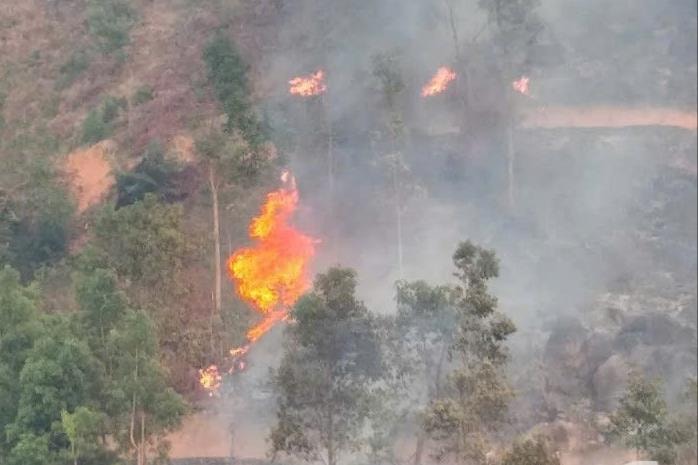 Cháy khoảng 5ha rừng, huy động 50 người dập lửa