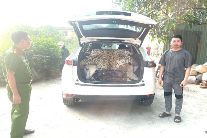 Khởi tố đối tượng buôn bán động vật nguy cấp, quý hiếm