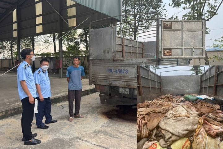 Bắt giữ gần 5 tấn da trâu, da bò không rõ nguồn gốc