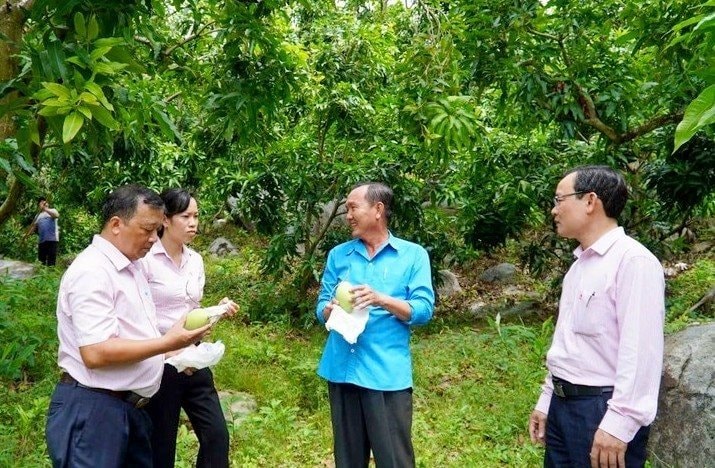 Nguồn vốn giúp người có thu nhập thấp an cư, lạc nghiệp