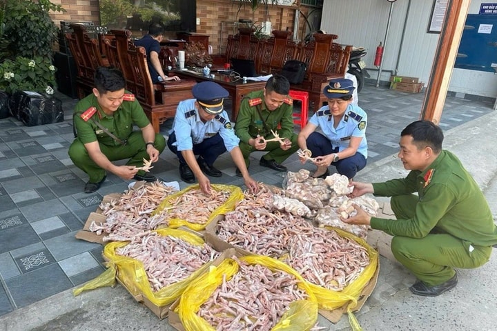 Gần 500kg chân gà, đuôi lợn không rõ nguồn gốc xuất xứ