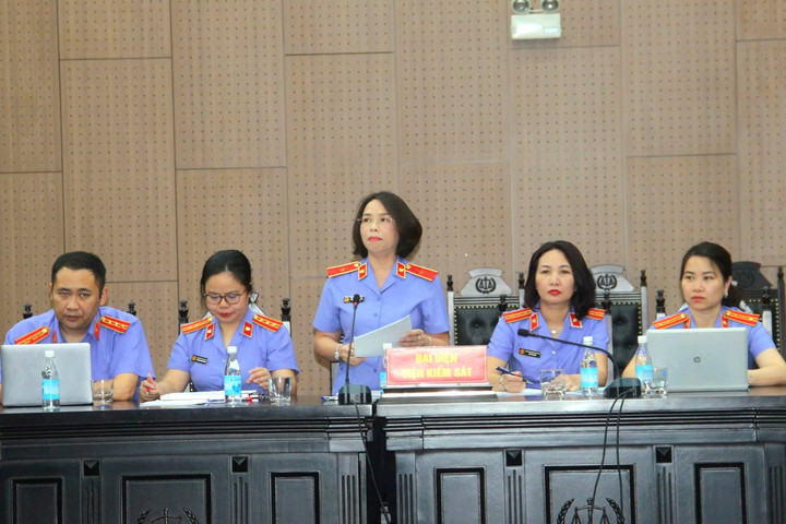 Vụ đất hiếm: Cựu Thứ trưởng Bộ TN&MT được đề nghị cho hưởng án treo