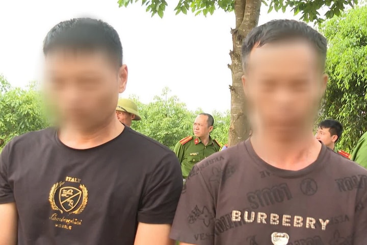 Khởi tố 2 đối tượng người nước ngoài đào mộ vua Lê Túc Tông