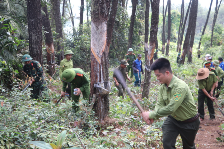 Cảnh báo đỏ và hành trình giữ lấy màu xanh
