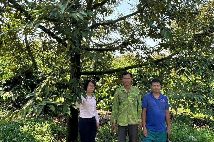 Đưa vốn tín dụng chính sách đến đúng người, đúng mục đích