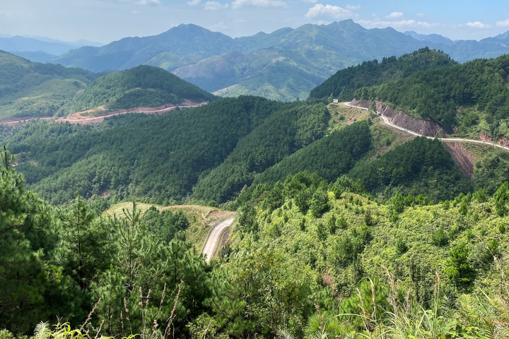 Hải Dương: “Lá phổi xanh” được phủ mới hơn 84% kế hoạch năm 2025