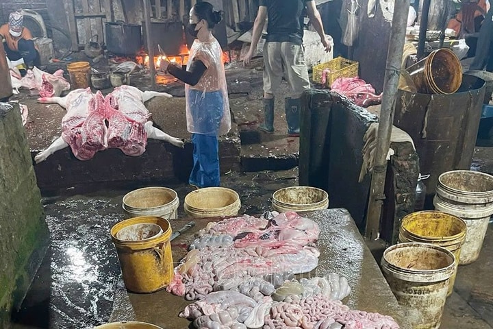 Hà Nam tiêu huỷ gần 3 tấn thịt lợn nhiễm virus dịch tả châu Phi