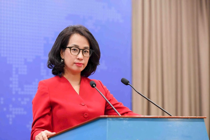 Việt Nam kiên quyết đấu tranh phòng, chống di cư trái phép