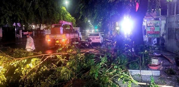 Bà Rịa - Vũng Tàu: Hàng loạt cây xanh gãy đổ sau dông lốc