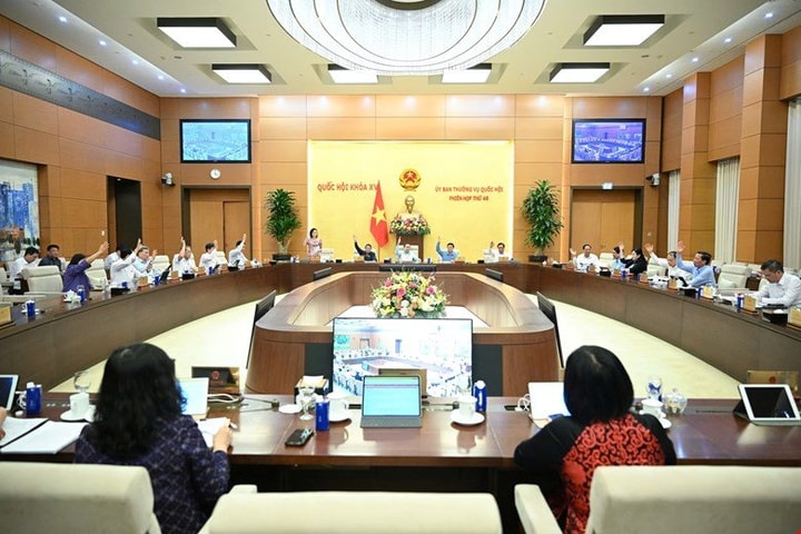 Vợ chồng được quyết định số con