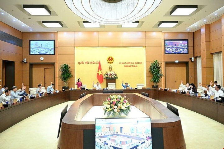 Phát huy vai trò đại biểu Quốc hội chuyên trách