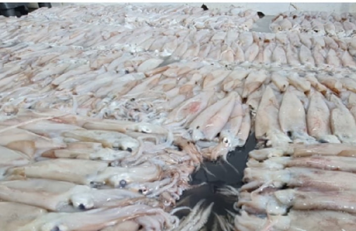 Thái Bình tạm giữ hơn 3,7 tấn hải sản không rõ nguồn gốc