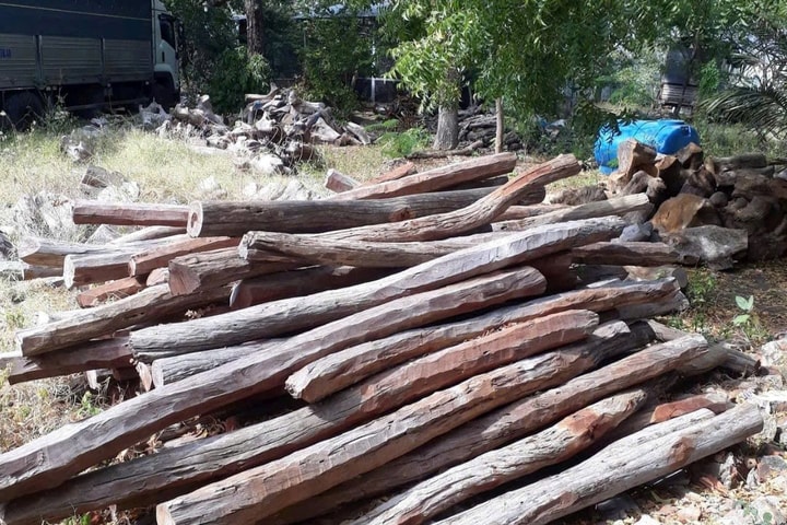 Bình Thuận: Chủ động đối phó với nạn phá rừng