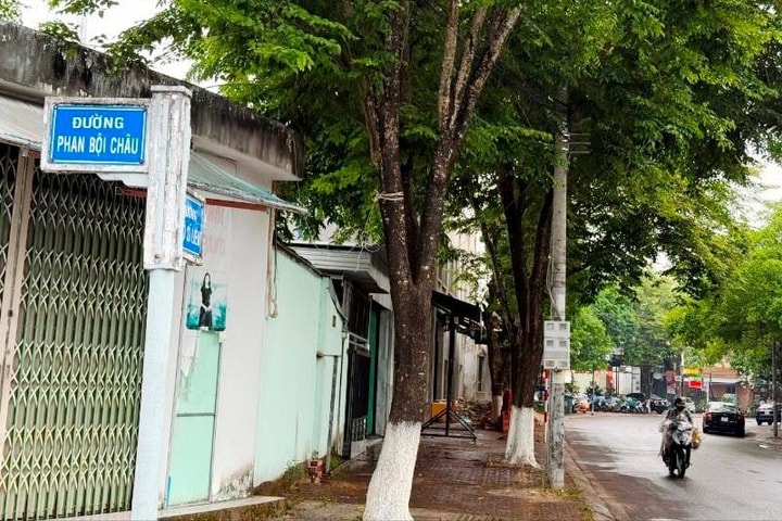 Quảng Ngãi: Sẽ đặt tên, đổi tên một số tuyến đường trước khi bỏ cấp huyện