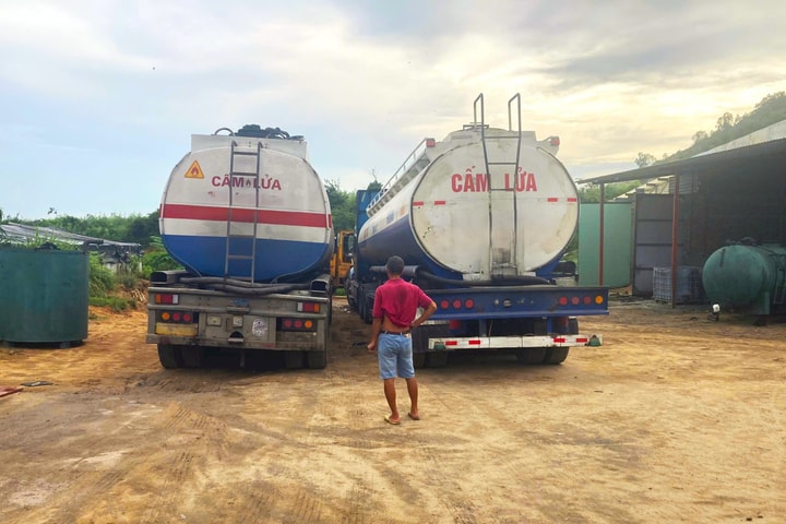 Tạm giữ gần 80 tấn dầu không hóa đơn, chứng từ