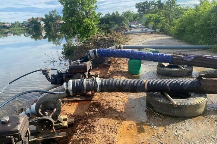 Nỗ lực tiêu úng cứu lúa kịp thời