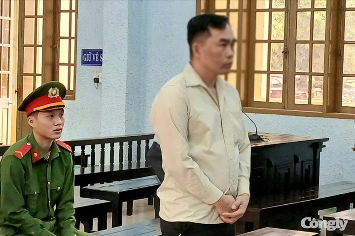 Nguyên Phó trưởng phòng ngân hàng ở Gia Lai lừa đảo tiền tỷ