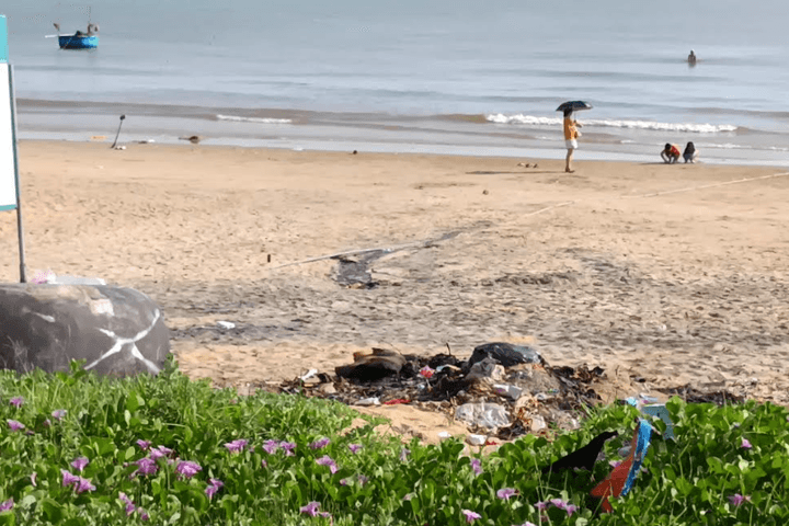 Vẻ đẹp Thiên Cầm đang bị rác thải bủa vây