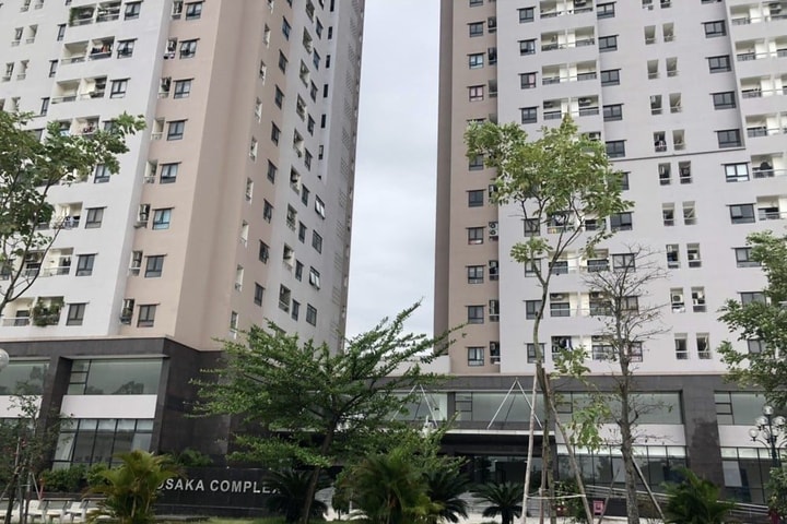 Cư dân lĩnh án vì đánh người trong lúc khắc phục bão Yagi