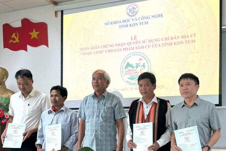 Trao chỉ dẫn địa lý 'Ngọc Linh' cho sản phẩm sâm củ