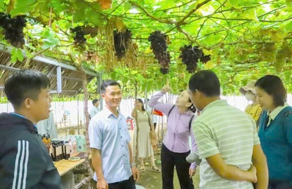 Ninh Thuận đón hơn 2,29 triệu lượt khách du lịch