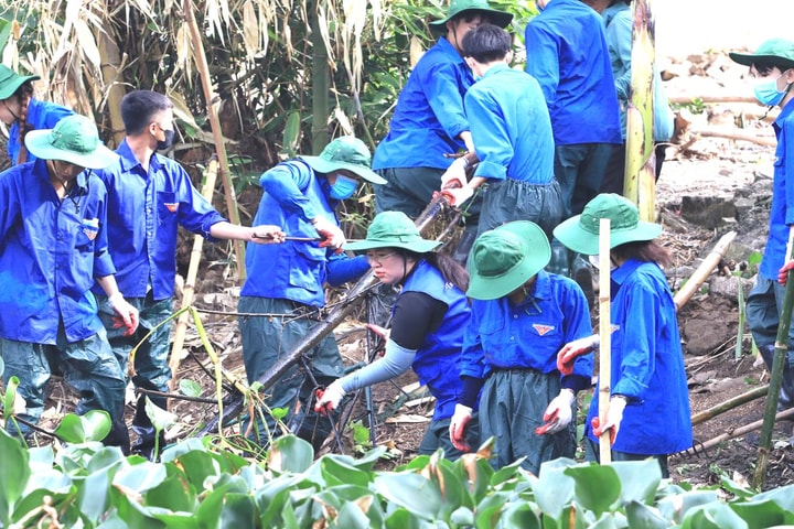 Tuổi trẻ Nghệ An nối mạch nguồn xanh giữa đại ngàn