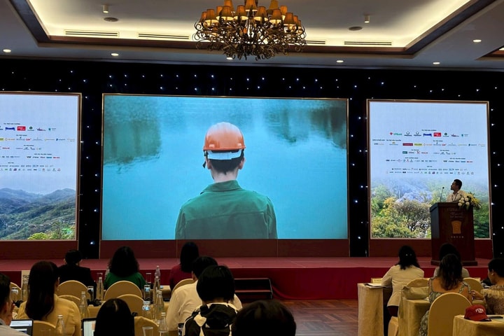 Chắp cánh tài năng điện ảnh Việt từ những “vườn ươm” sáng tạo