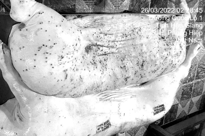 Diễn biến mới vụ C.P Việt Nam bị tố bán thịt heo bệnh