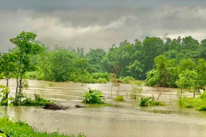 Đề nghị Hà Nội và các tỉnh ven sông khẩn trương hộ đê