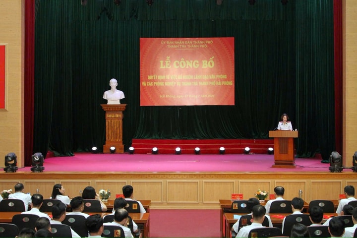 Hải Phòng kiện tòa bộ máy Thanh tra thành phố