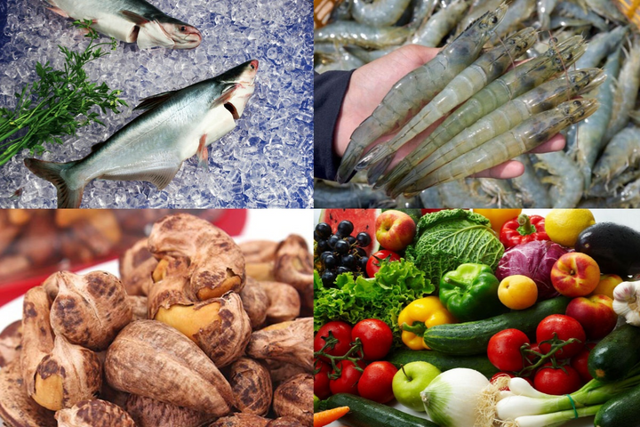 Nông nghiệp “bứt tốc” nửa đầu năm: Từ cánh đồng đến trang trại đều khởi sắc