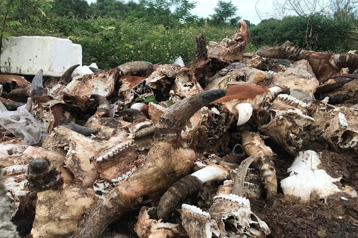 Dân kêu cứu vì ô nhiễm, chính quyền ra tay xử lý