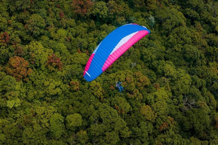 Rà soát toàn bộ hoạt động bay dù lượn tại Sơn Trà