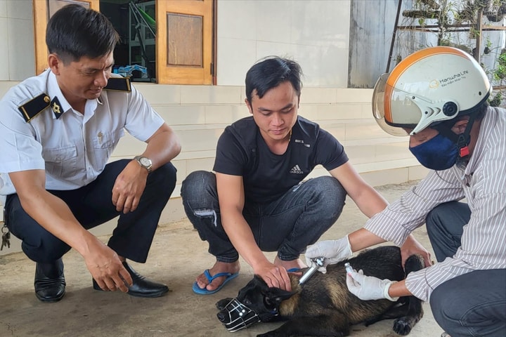 Đắk Lắk: Thêm một người tử vong nghi do bệnh dại