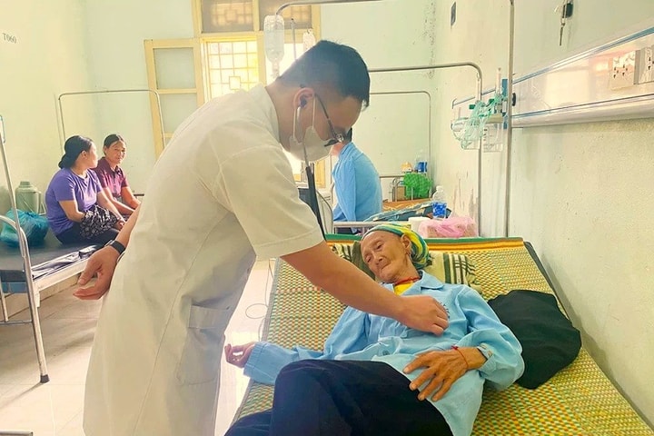 Ba người nhập viện vì ăn hoa chuông tại Thái Nguyên