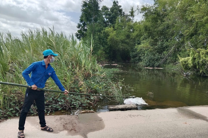 Xác heo chết trôi nổi kênh rạch, Gia Lai ra quân xử lý khẩn cấp