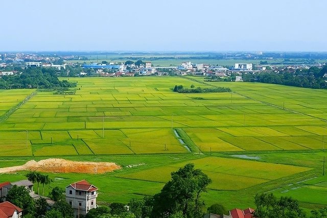 Thẩm quyền quản lý đất đai của các cơ quan chuyên môn cấp tỉnh