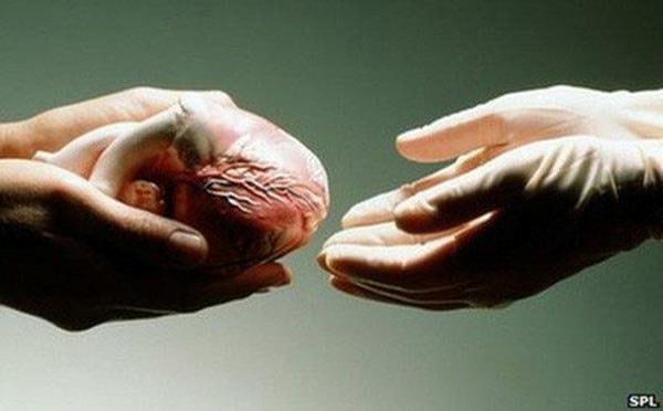 Đề xuất quy định để đảm bảo tính nhân đạo, chống thương mại hóa việc hiến tạng