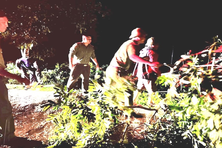 Người đàn ông tử vong khi đưa bò về chuồng tránh mưa